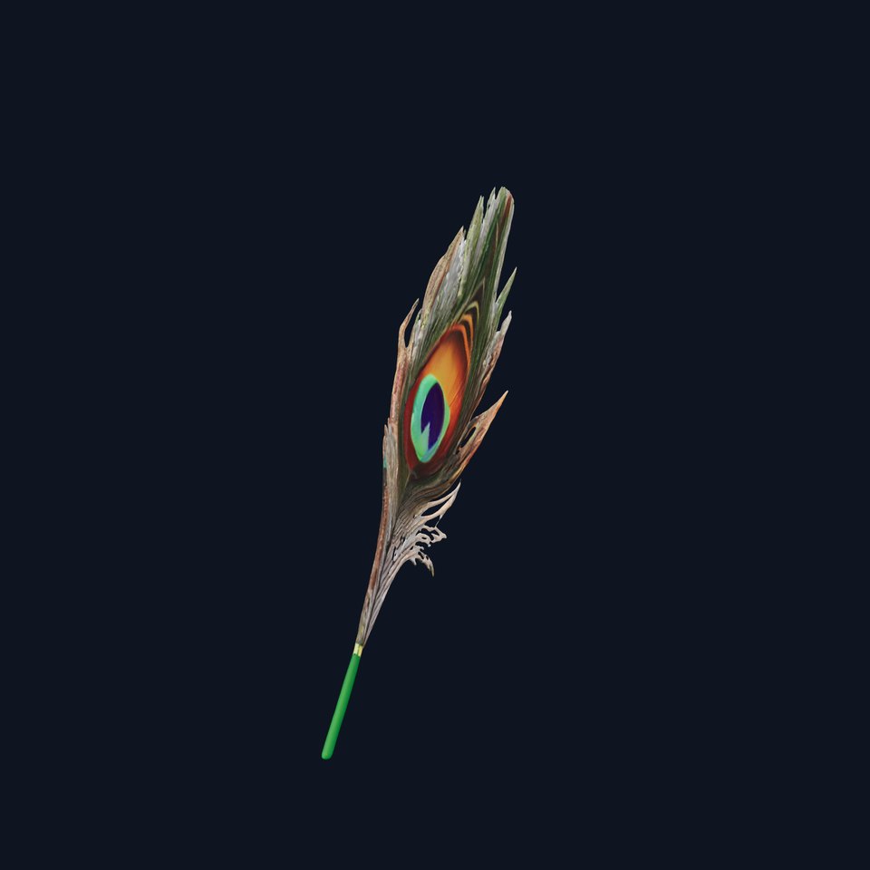 Peacock Feather Detailed Model Pack for Realistic Simulations